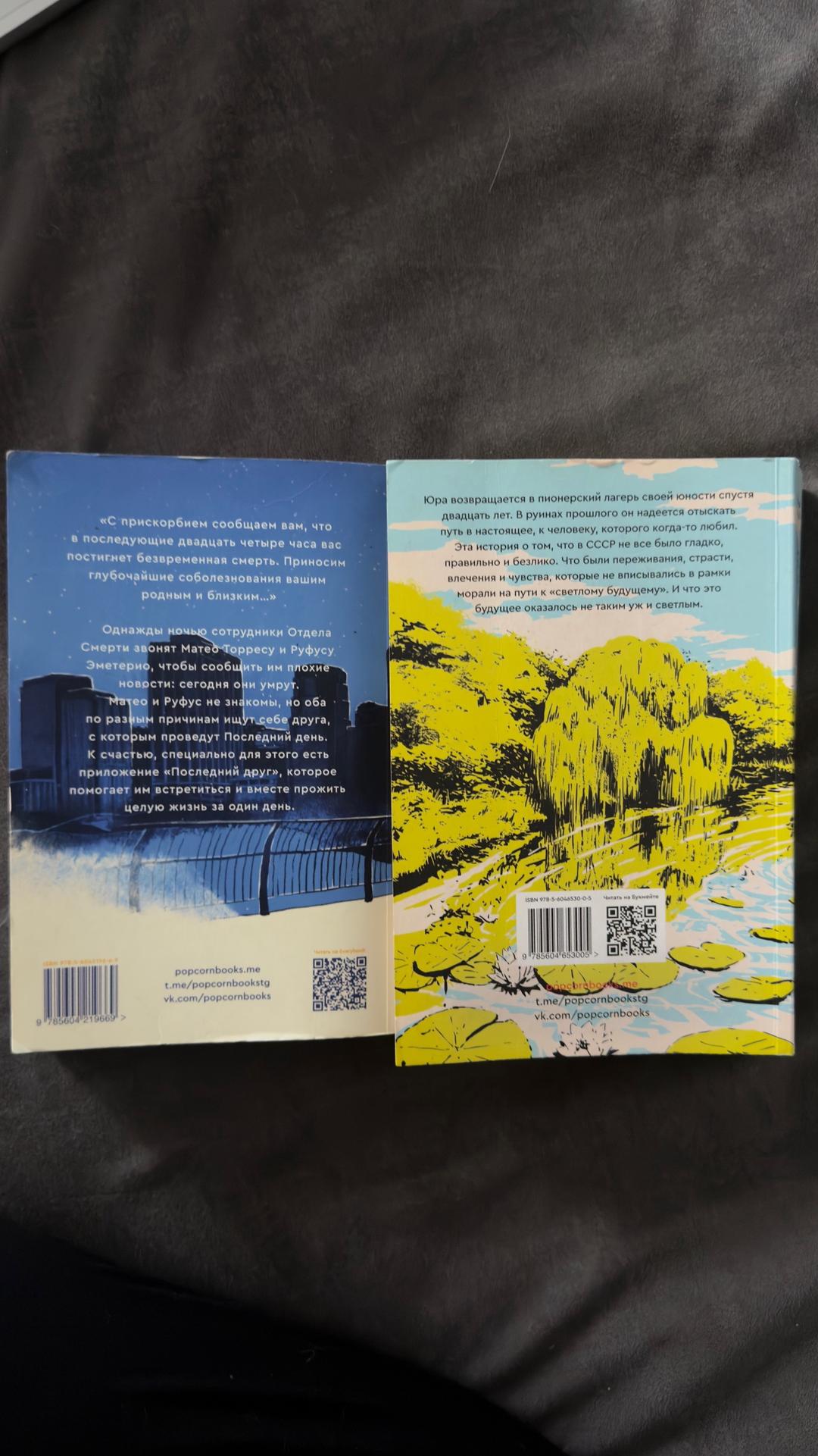 Катерина Сильванова, Елена Малисова Книга лето в пионерском галстуке — фото 2