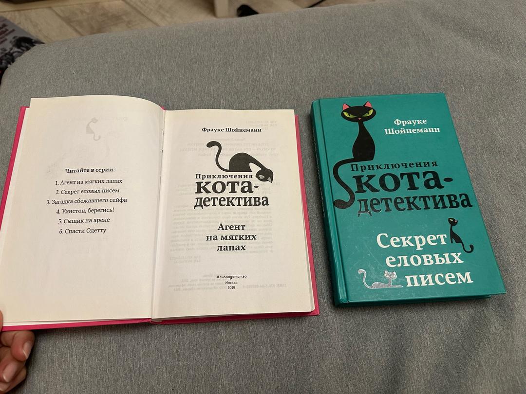 Фрауке Шойнеманн Серия Приключение кота детектива — фото 2