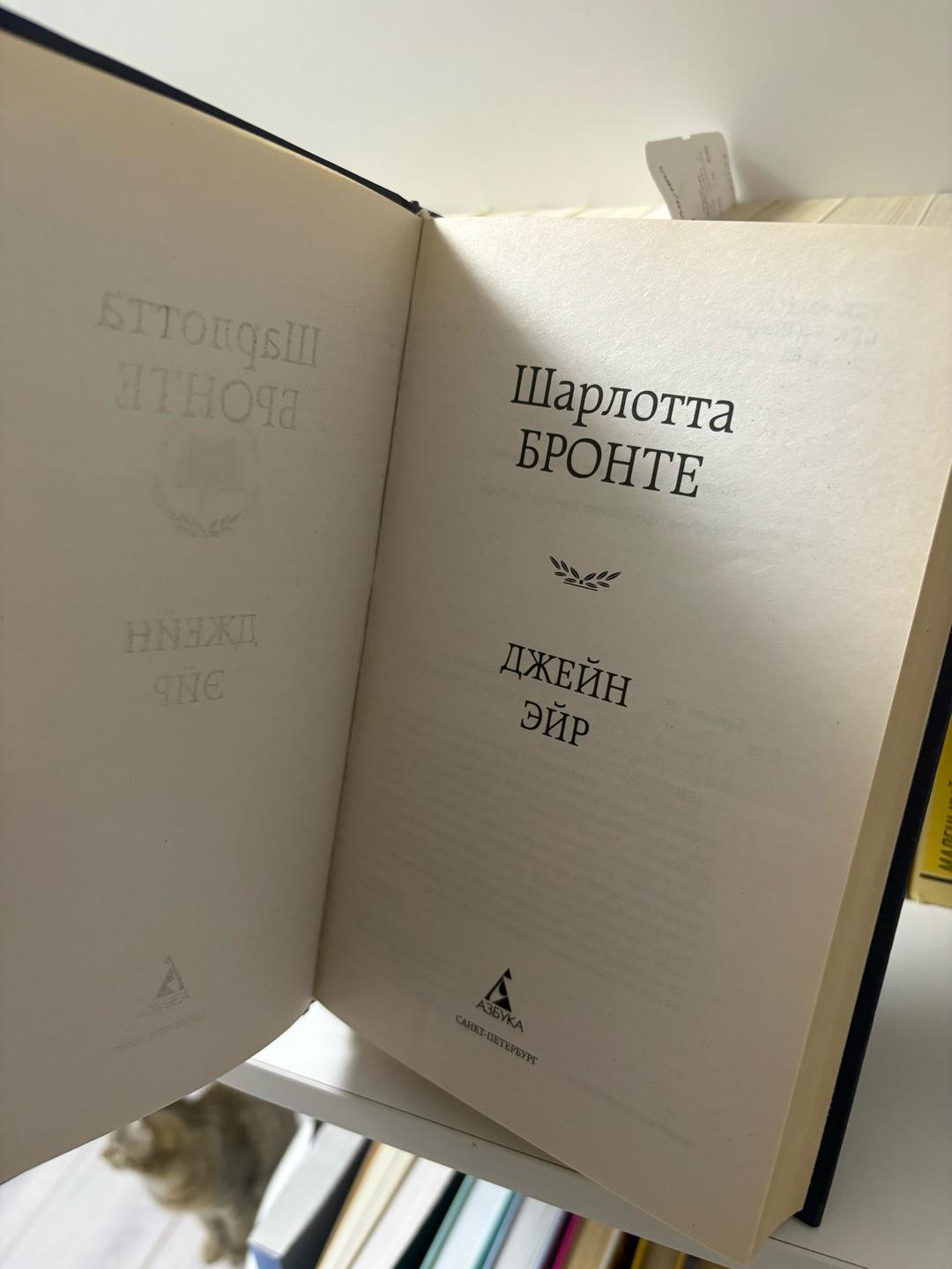 Шарлотта Бронте Книга Джейн Эйр — фото 2