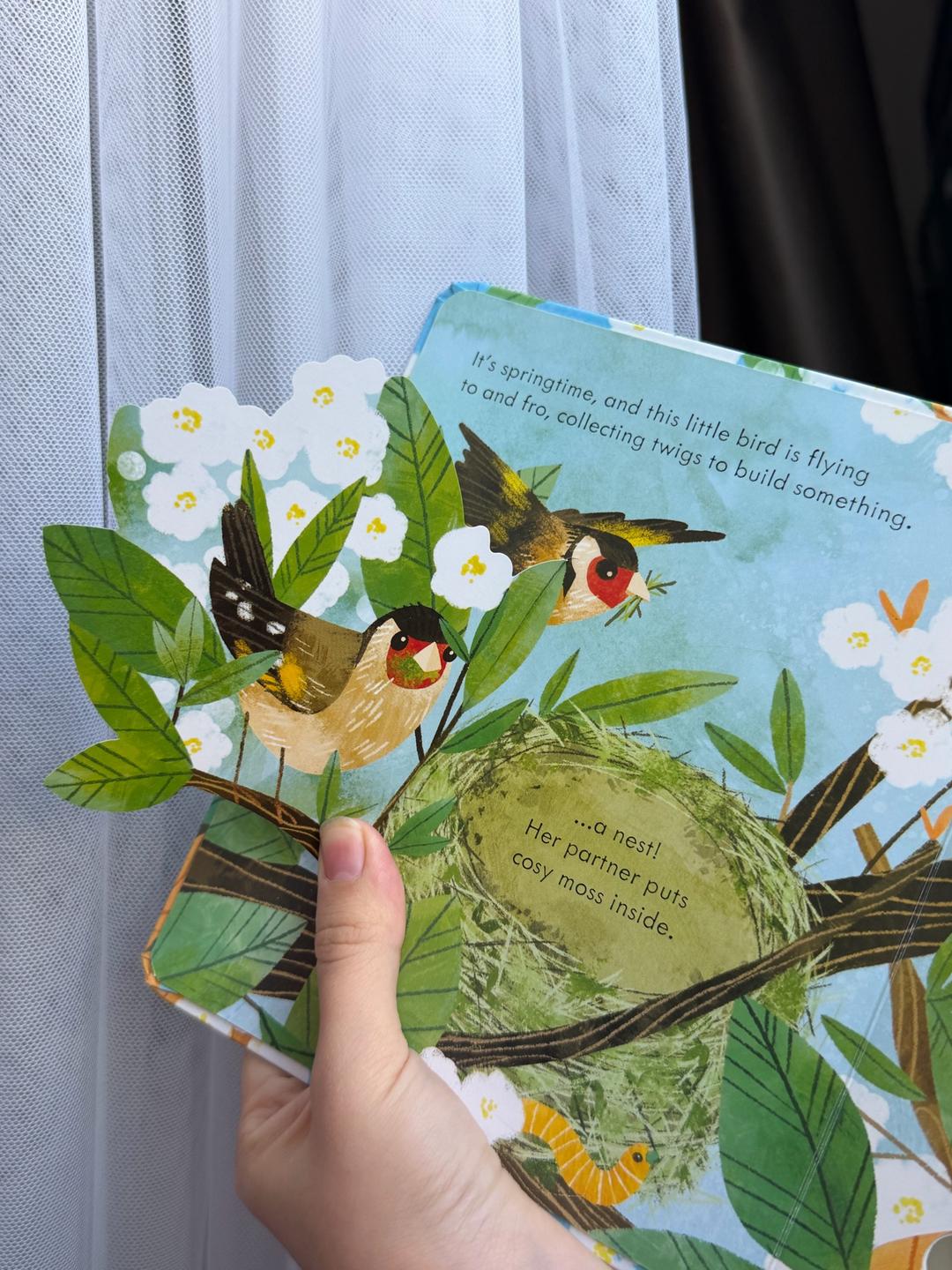 Anna Milbourne Детская книга: Peep Inside a Bird's Nest — фото 2