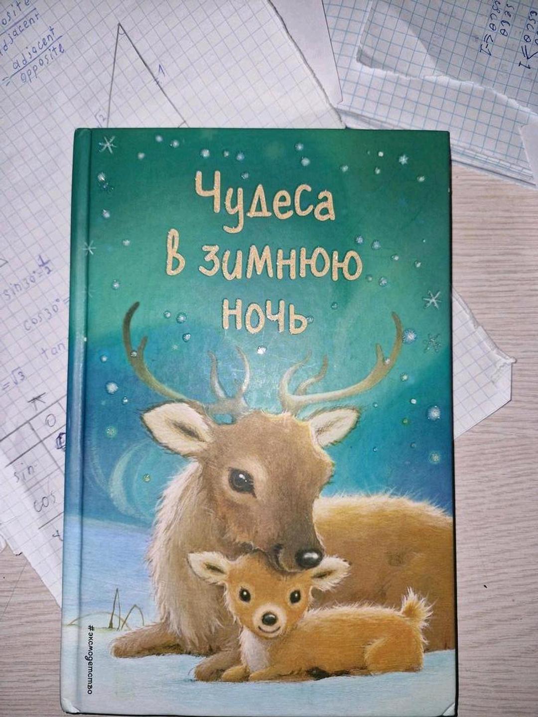Холли Вебб Серия детских книг — фото 2