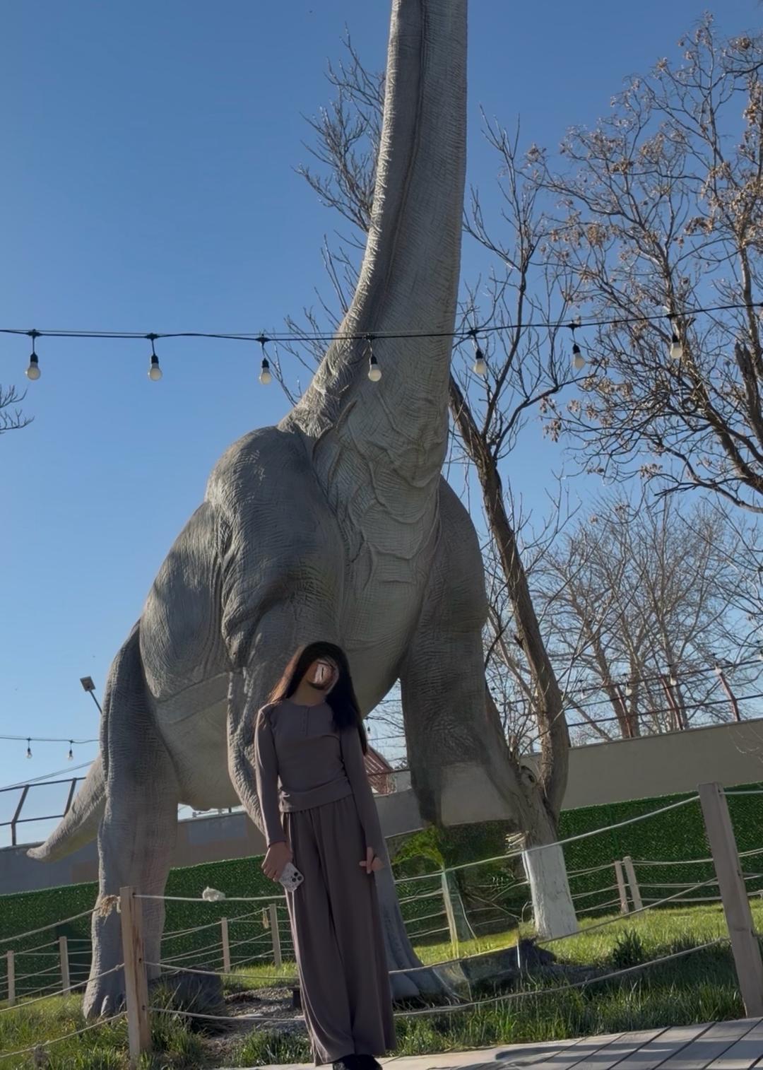 Lime комплект lime — фото 2