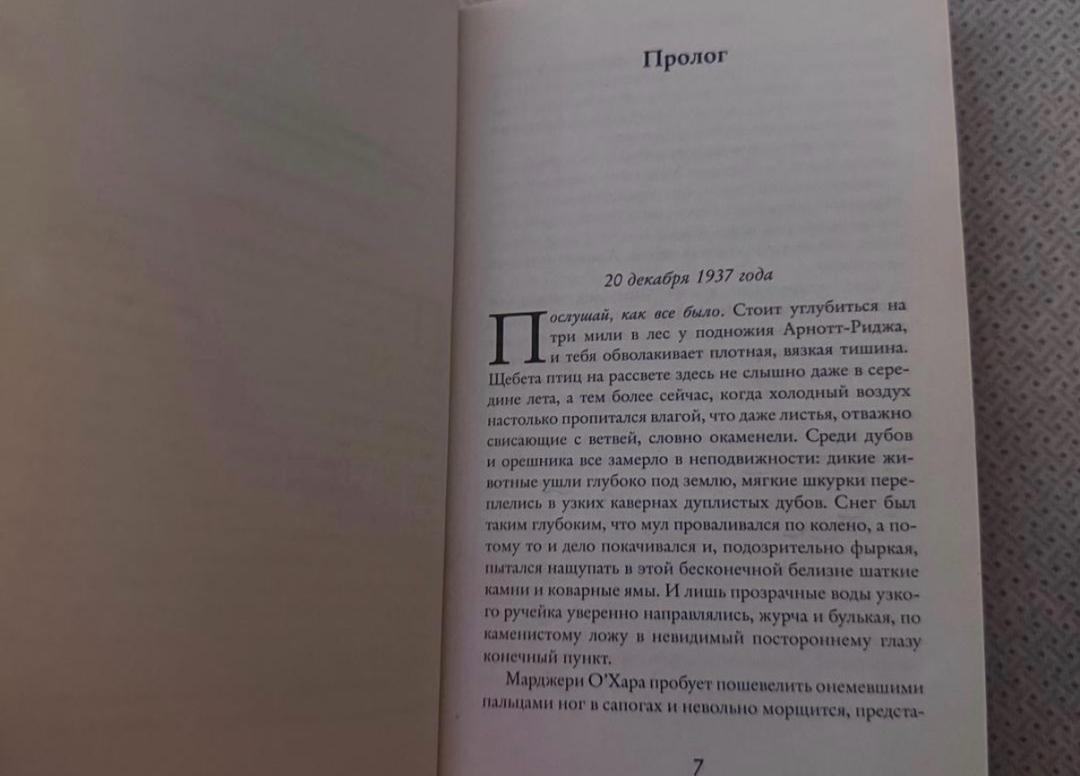 Jojo Moyes книга Дарующий звезды — фото 2