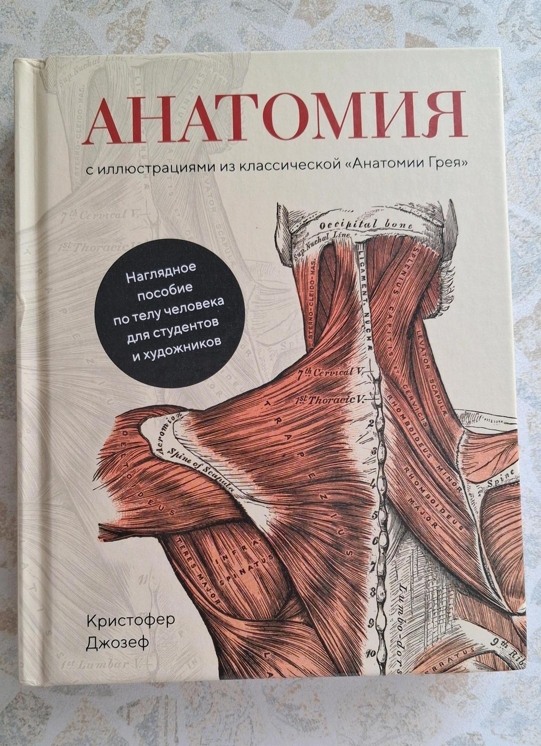 Кристофер Джозеф Анатомия новая книга — фото 2