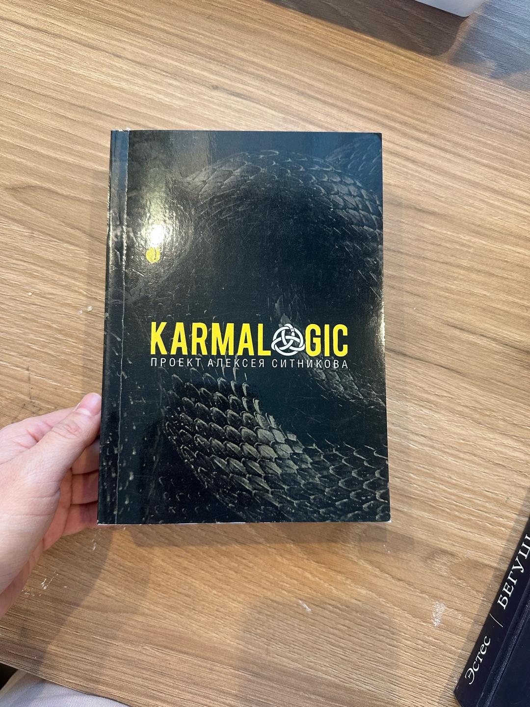 Алексей Ситников KARMALOGIC книга Алексея Ситникова — фото 2