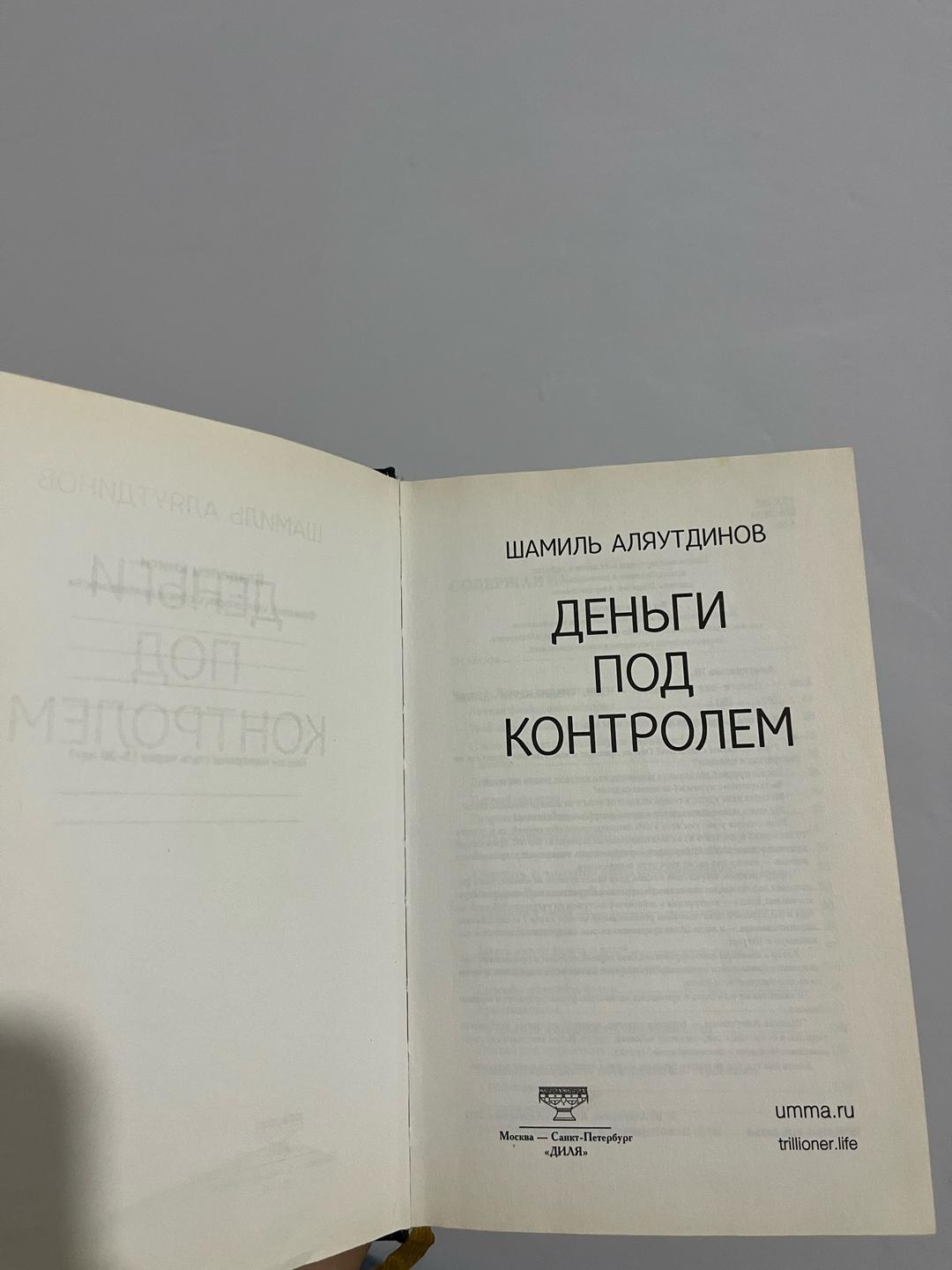 Шамиль Аляутдинов Деньги под контролем — фото 2