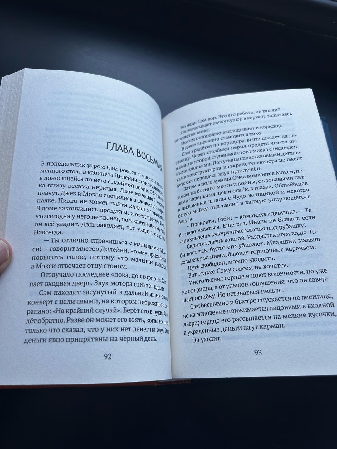 С. Дж. Дрюс Мальчик, который крадёт дома — фото 2