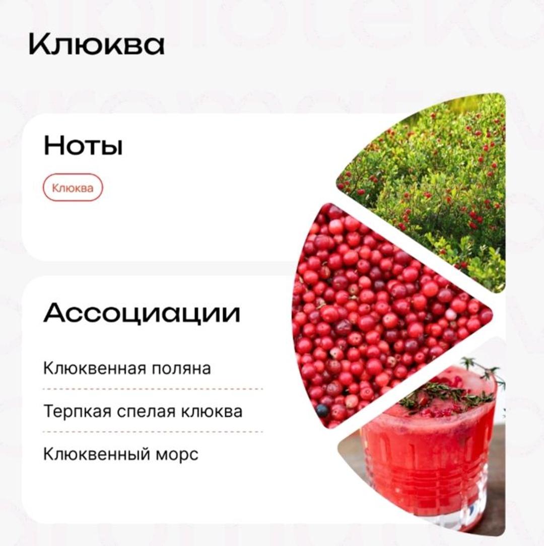 biblioteka aromatov Масляные духи. Клюква — фото 2