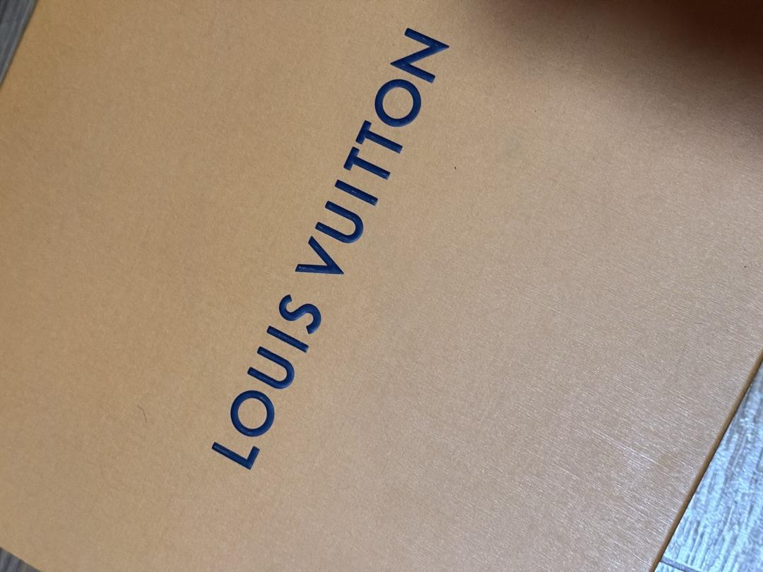 Louis Vuitton Louis Vuitton silhouette boots — фото 2