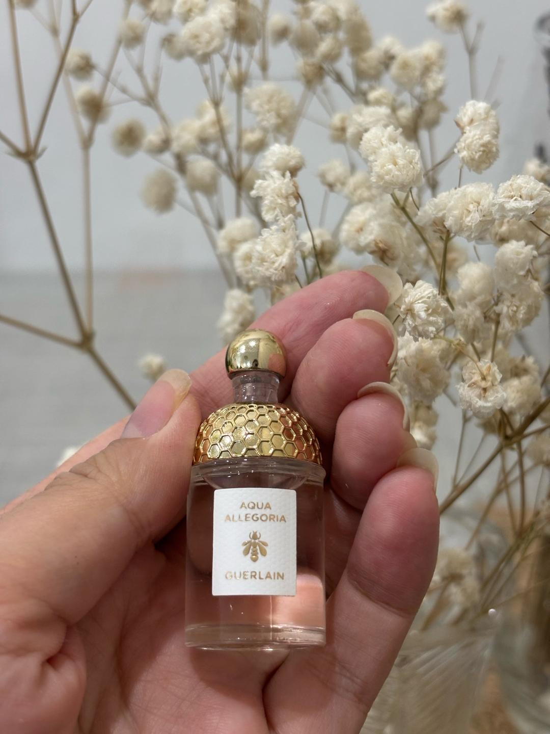 Guerlain Миниатюра Guerlain Aqua allegoria Rossa rossa — фото 2