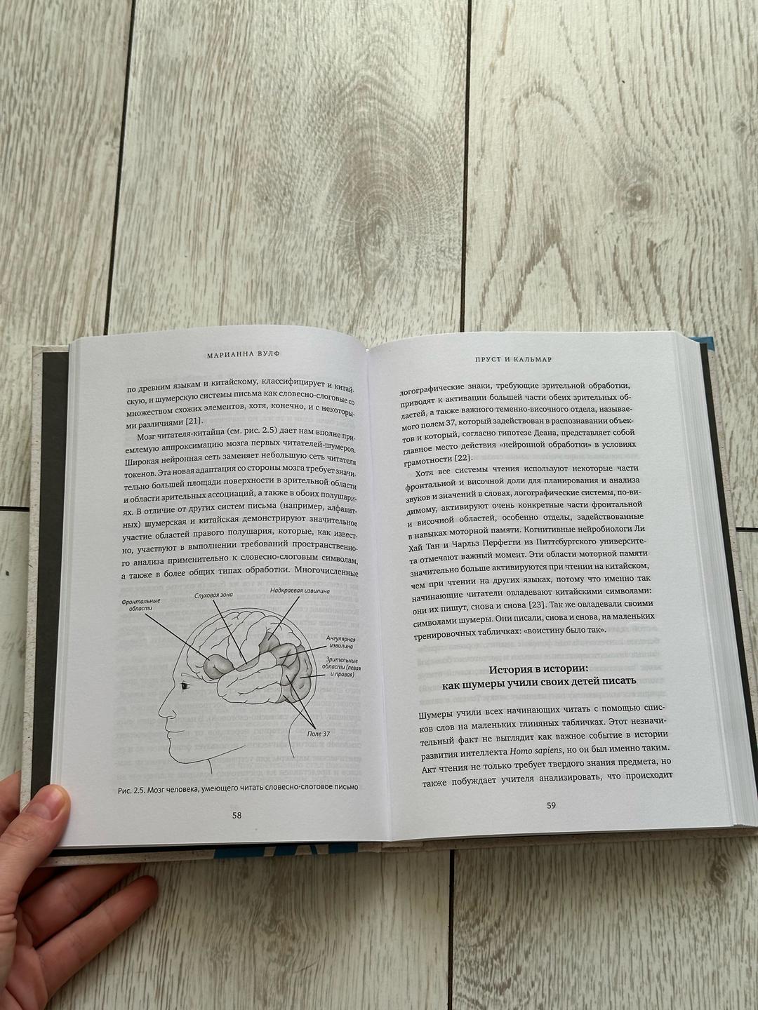 Марианна Вулф Книга Пруст и кальмар. Нейробиология чтения, Марианна Вулф — фото 2