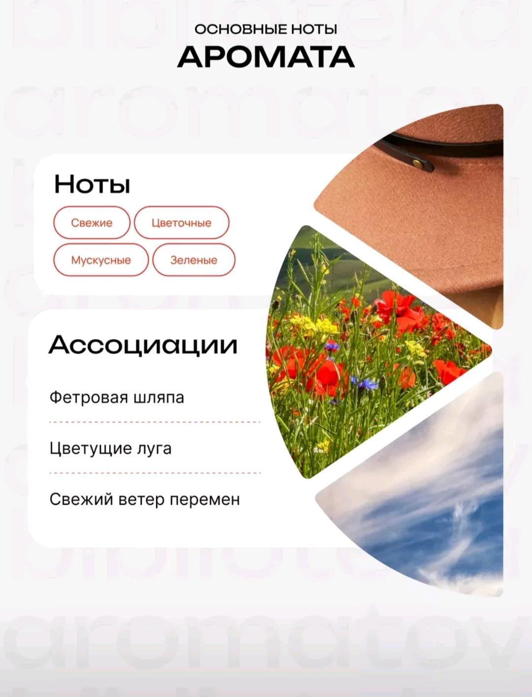 biblioteka aromatov Туалетная Вода "Шляпника с серебряными волосами" — фото 2