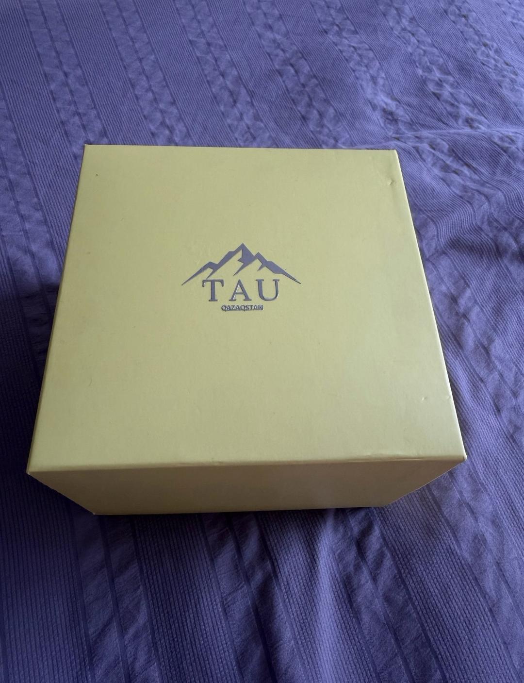 TAU QAZAQSTAN Часы мужские — фото 2