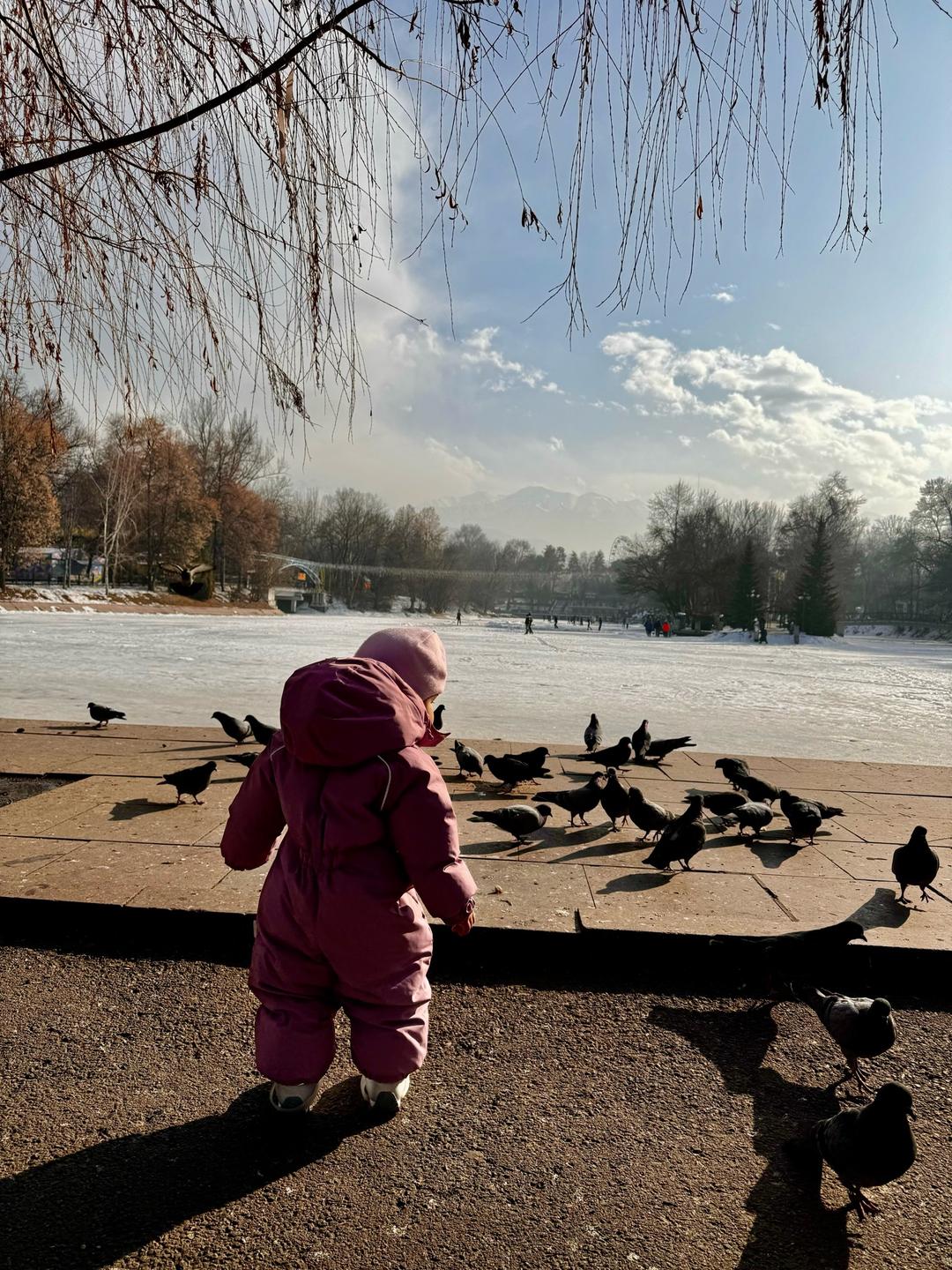 Crockid Зимний комбинезон crockid с флислвой поддевой — фото 2
