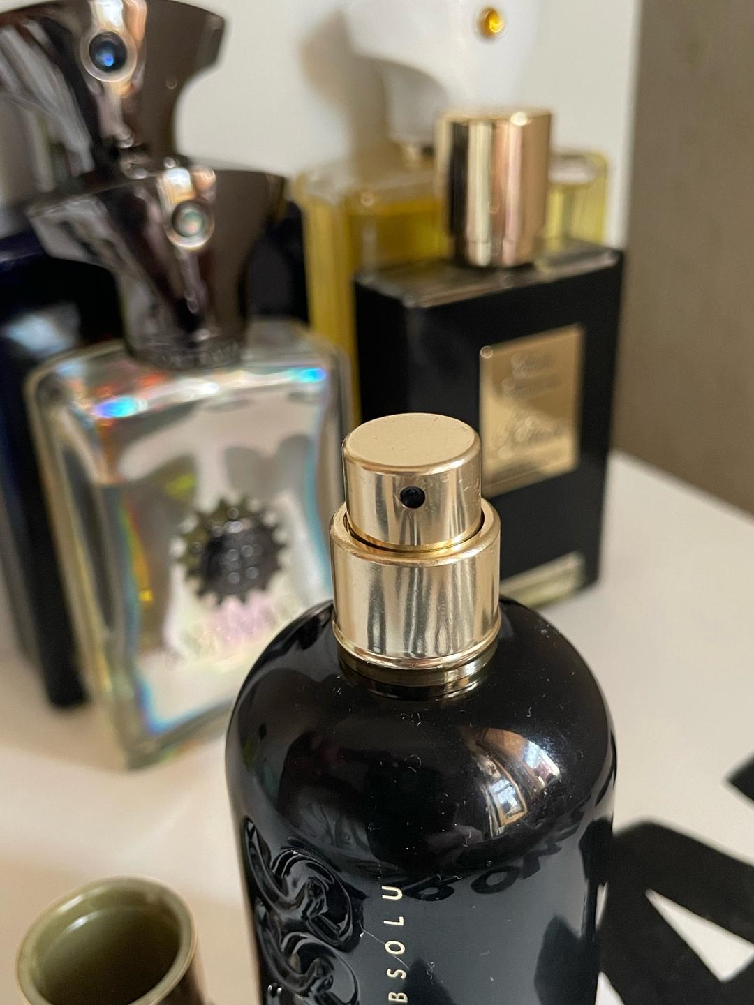 Hugo Boss Hugo boss bottled absolu 50ml — фото 2