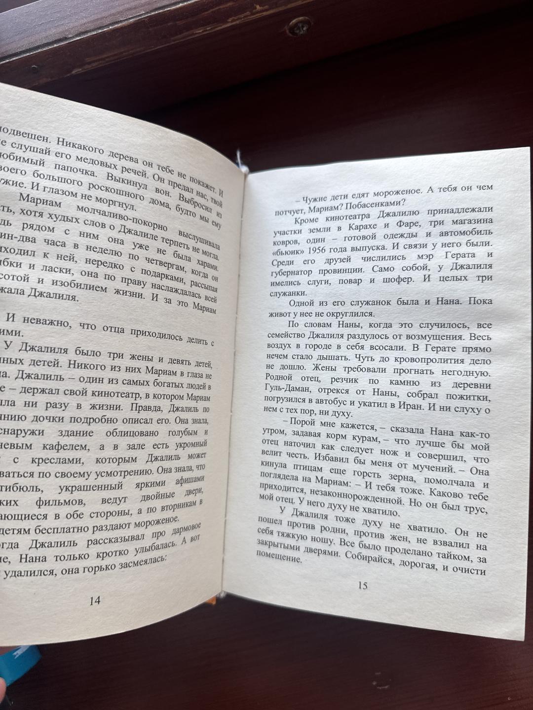 Халед Хоссейни Тысяча сияющих солнц — фото 2