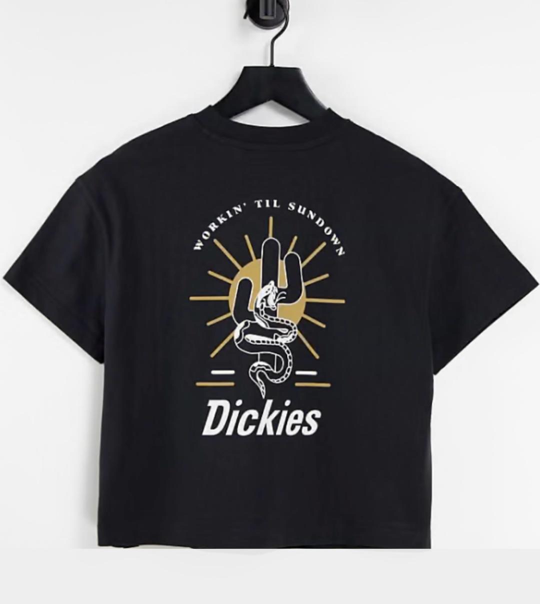 Dickies Футболка с принтом Dickies M — фото 2