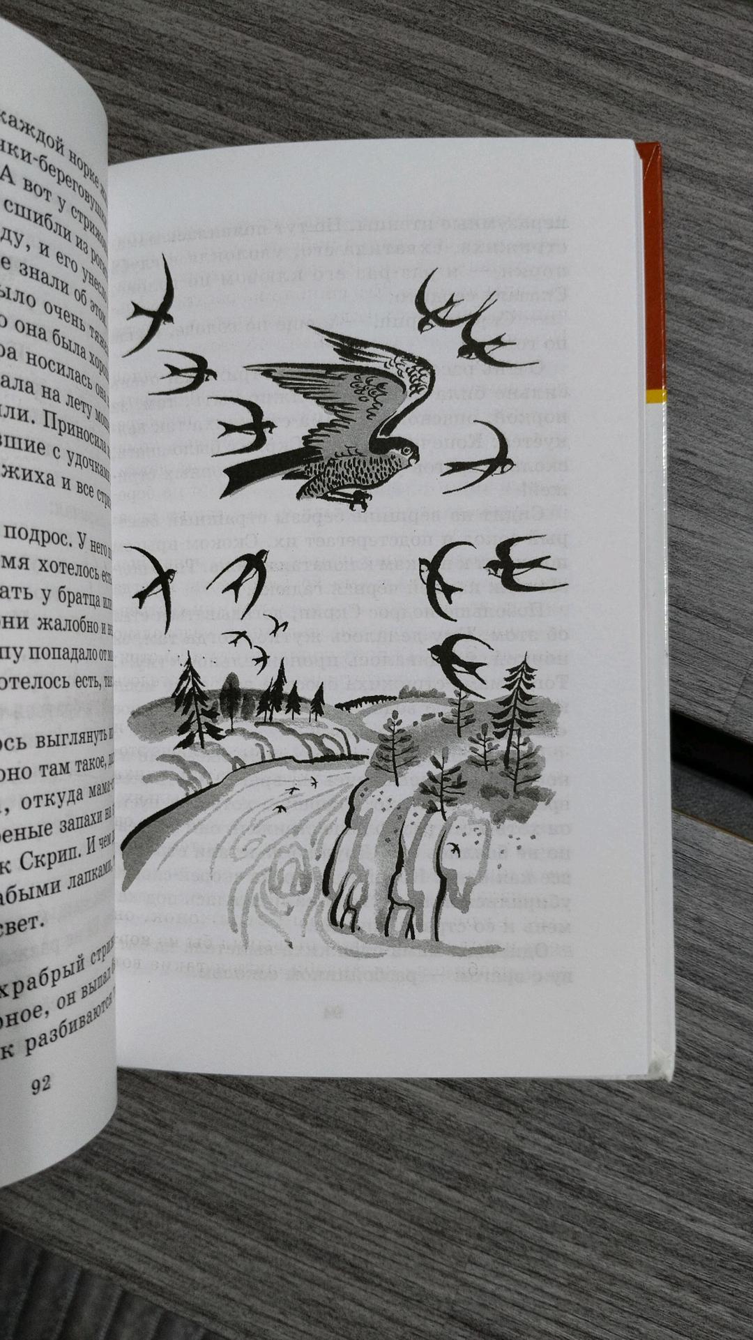 Виктор Астафьев Книга — фото 2
