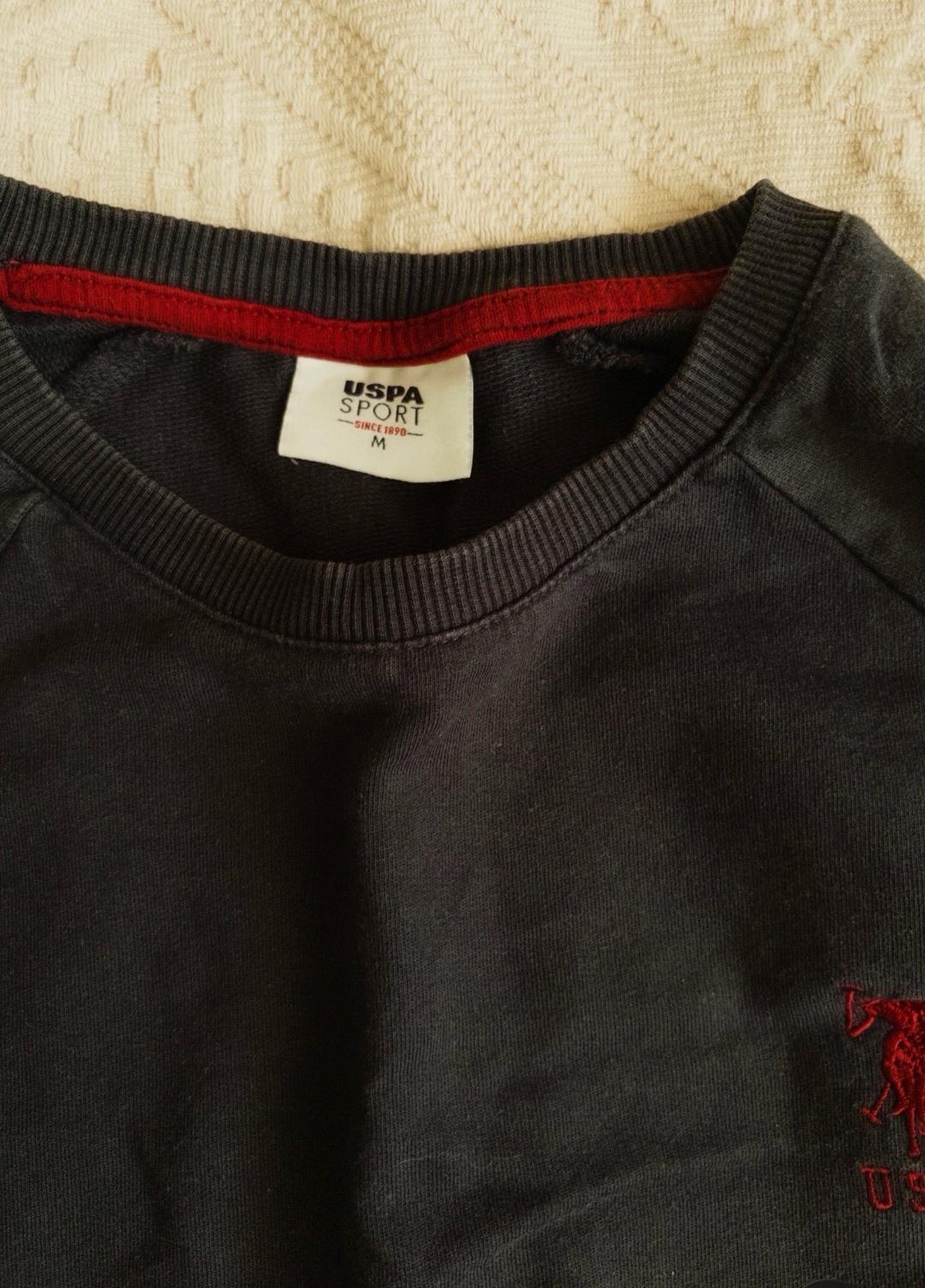 U.S. Polo Assn. темно синяя кофта uspa sport — фото 2