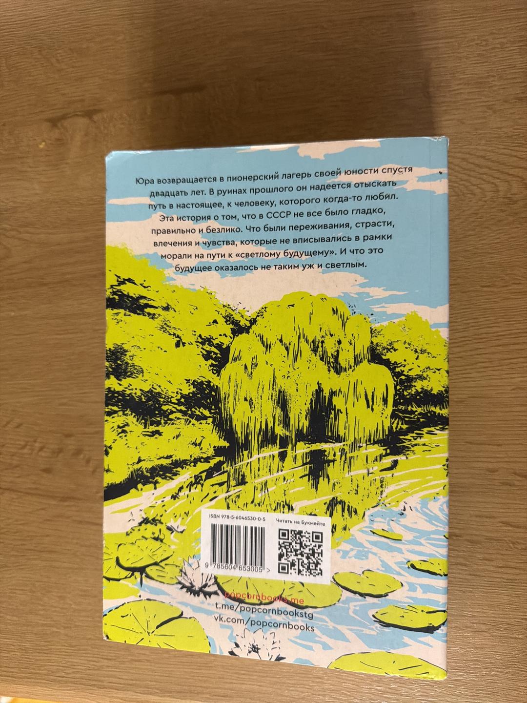 Катерина Сильванова, Елена Малисова Лето в пионерском галстуке книга — фото 2