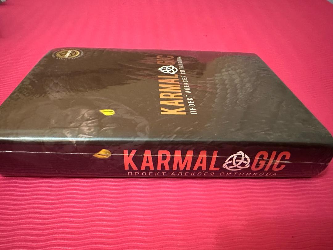 Алексей Ситников Karmalogic — фото 2