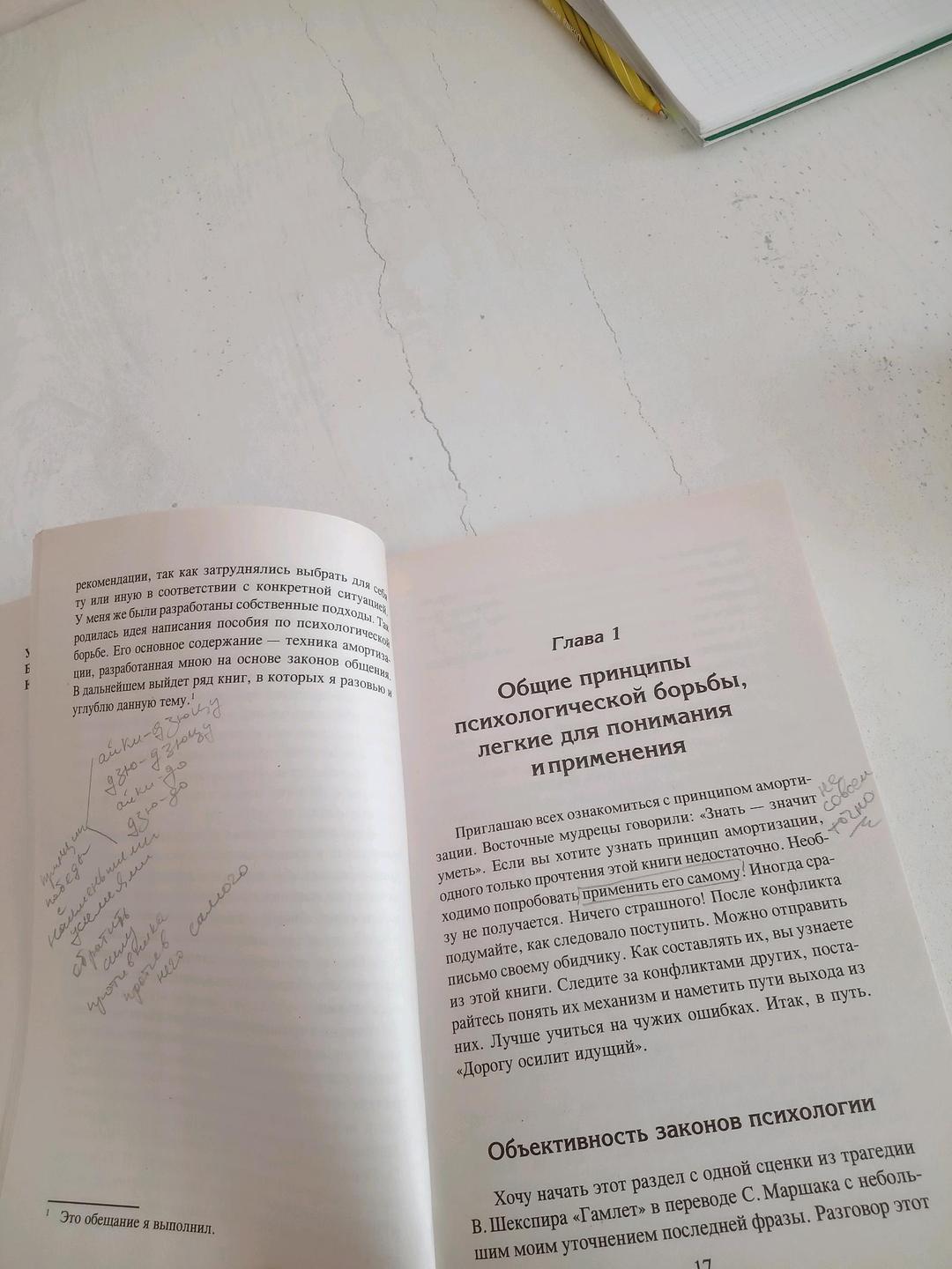 Михаил Литвак Книга психотерапевта всемирного реестра Михаила Литвака Психологическое айкидо — фото 2