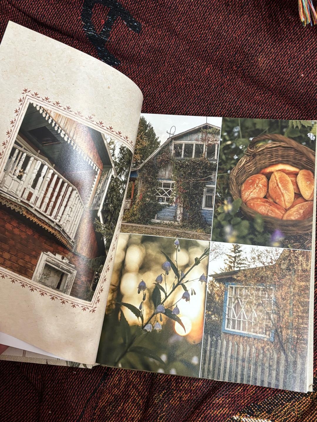 Дарья Левина Книга «Романтика Дачи» DaryaDarsy — фото 2