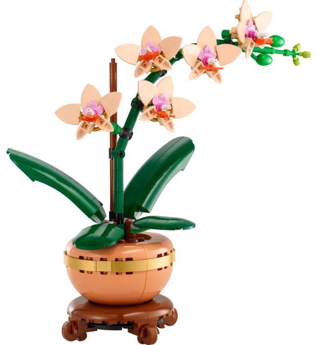 Lego LEGO (ЛЕГО) Конструктор Botanicals 10343 Мини-орхидея. Miniaturní orchidej — фото 2