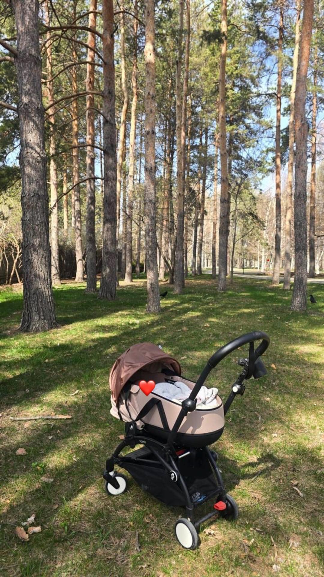 Yoyo Спальный блок BABYZEN YOYO Bassinet Navy бежевый — фото 2