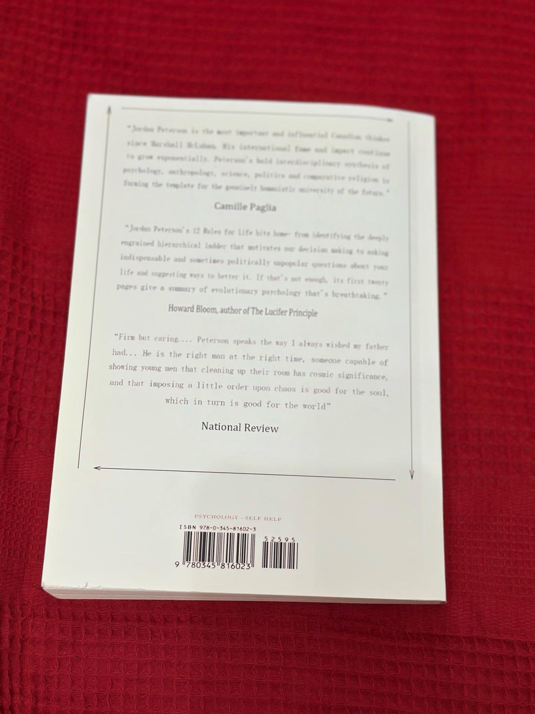 Jordan B. Peterson 12 Rules for Life: An Antidote to Chaos — фото 2