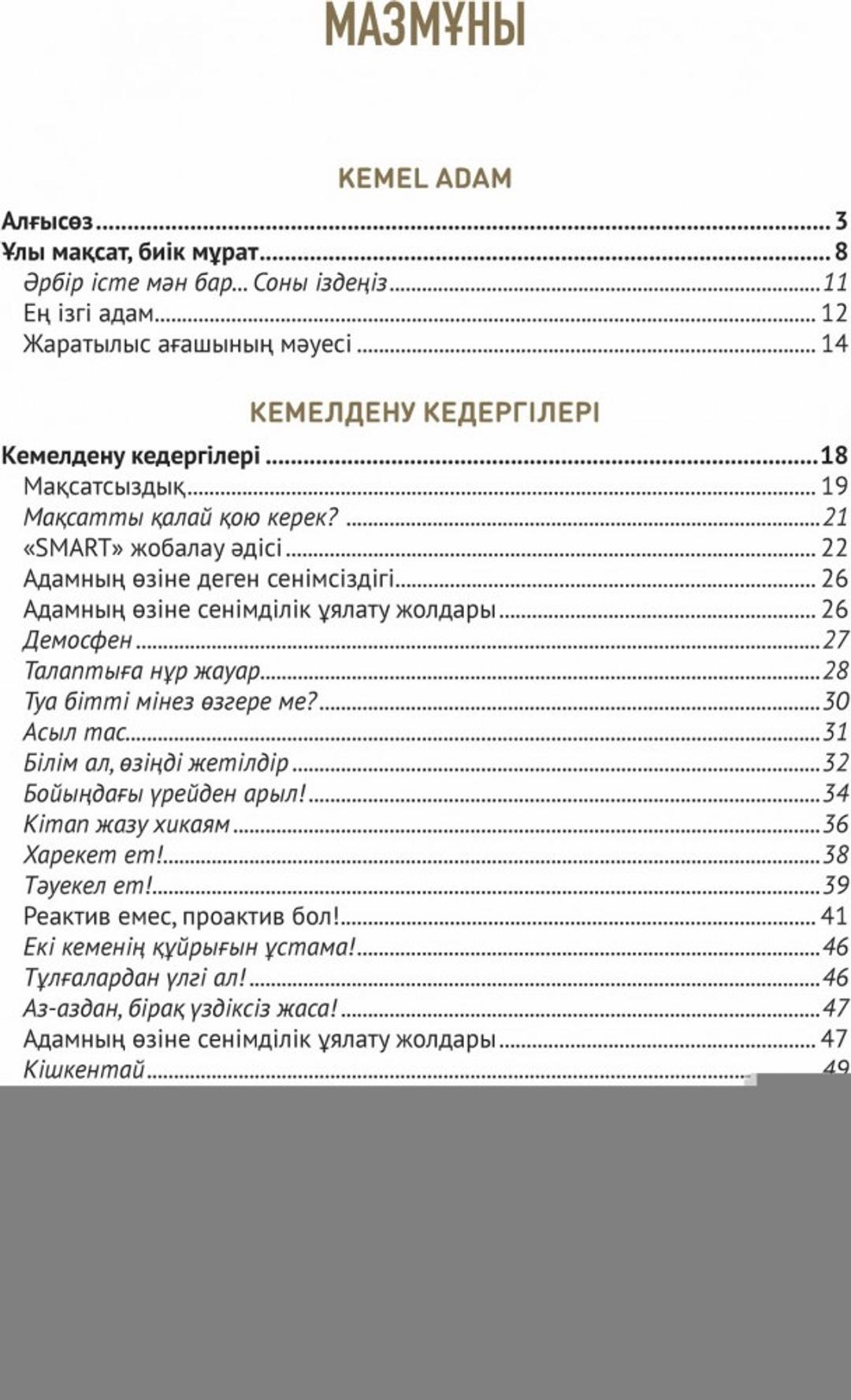 Қайрат Жолдыбайұлы Kemel Adam книга — фото 2