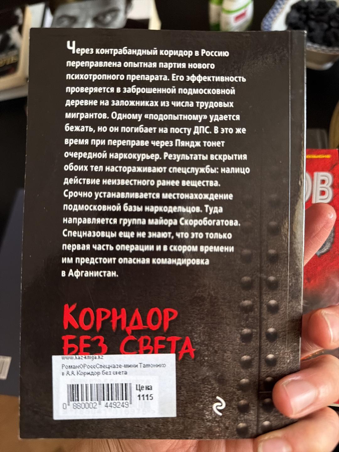 Александр Тамоников Коридор без света — фото 2