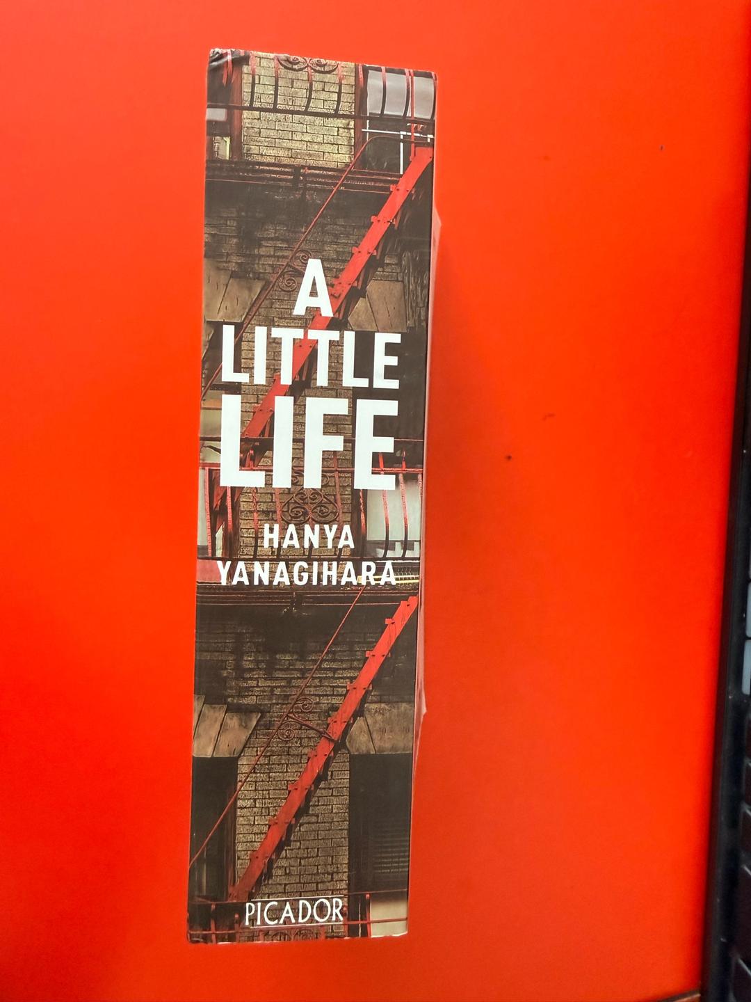 Ханья Янагихара A Little Life — фото 2