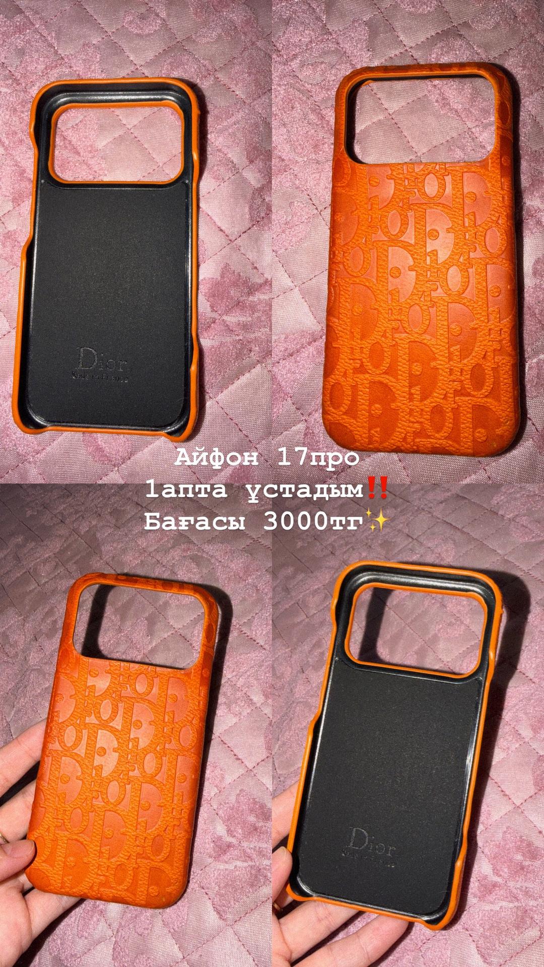 Dior Чехол для iPhone 14 Pro 17pro — фото 2