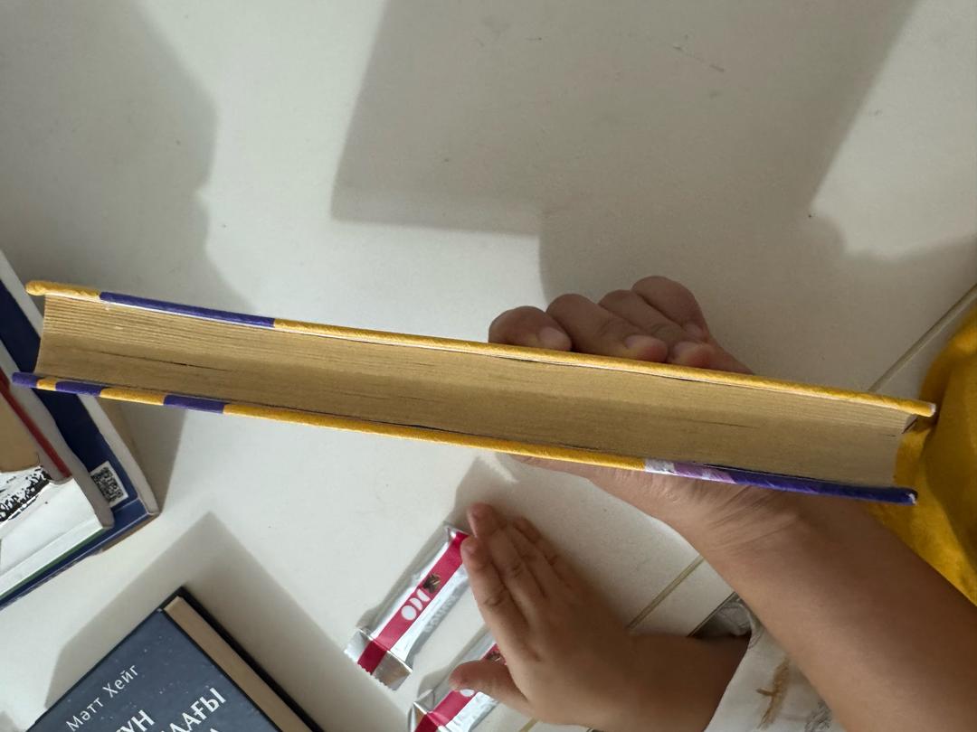 Халед Хосейни Батпырауық қуған бала — фото 2