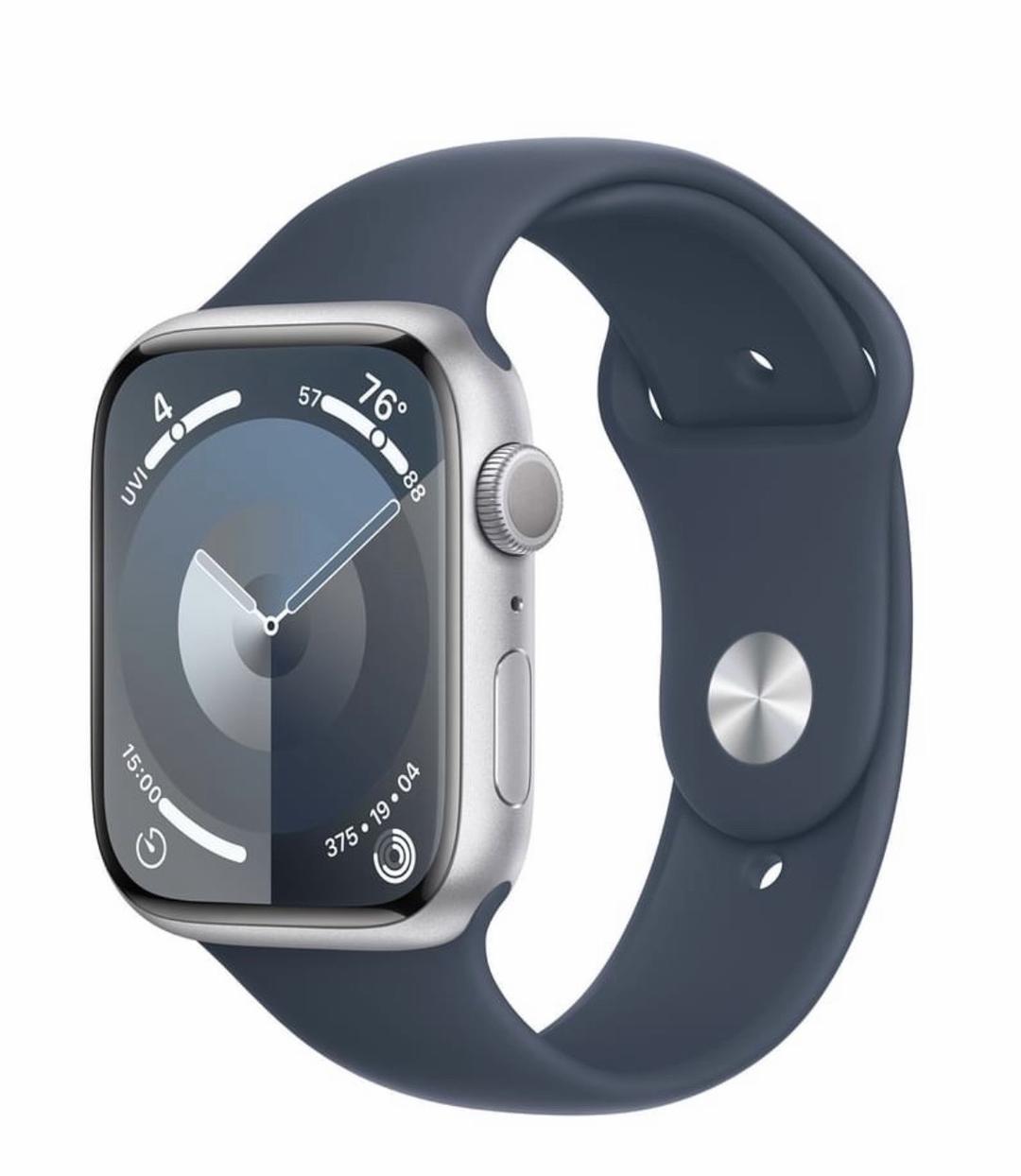 Apple Часы Apple Watch 9 серии, 45 мм, с голубым ремешком (S, M) — фото 2