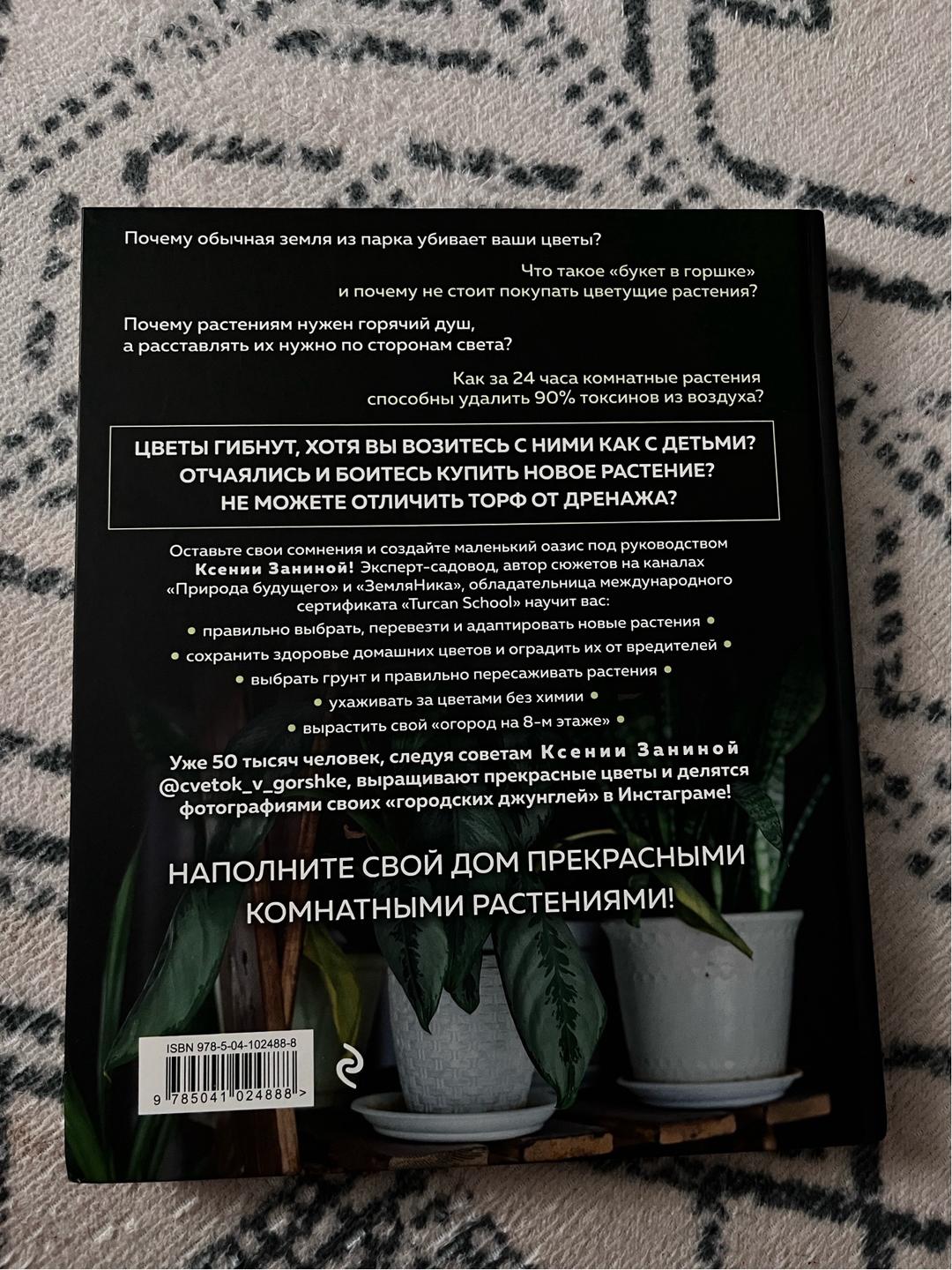 Ксения Занина Цветок в горшке / Ксения Занина — фото 2