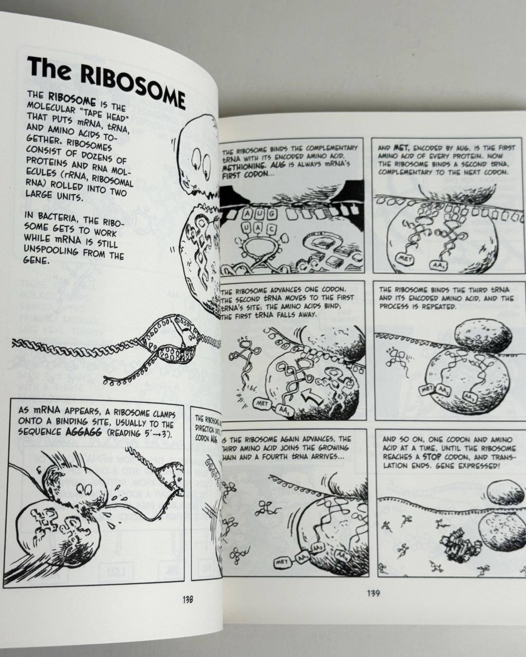Larry Gonick, Dave Wessner The Cartoon Guide to Biology — фото 2
