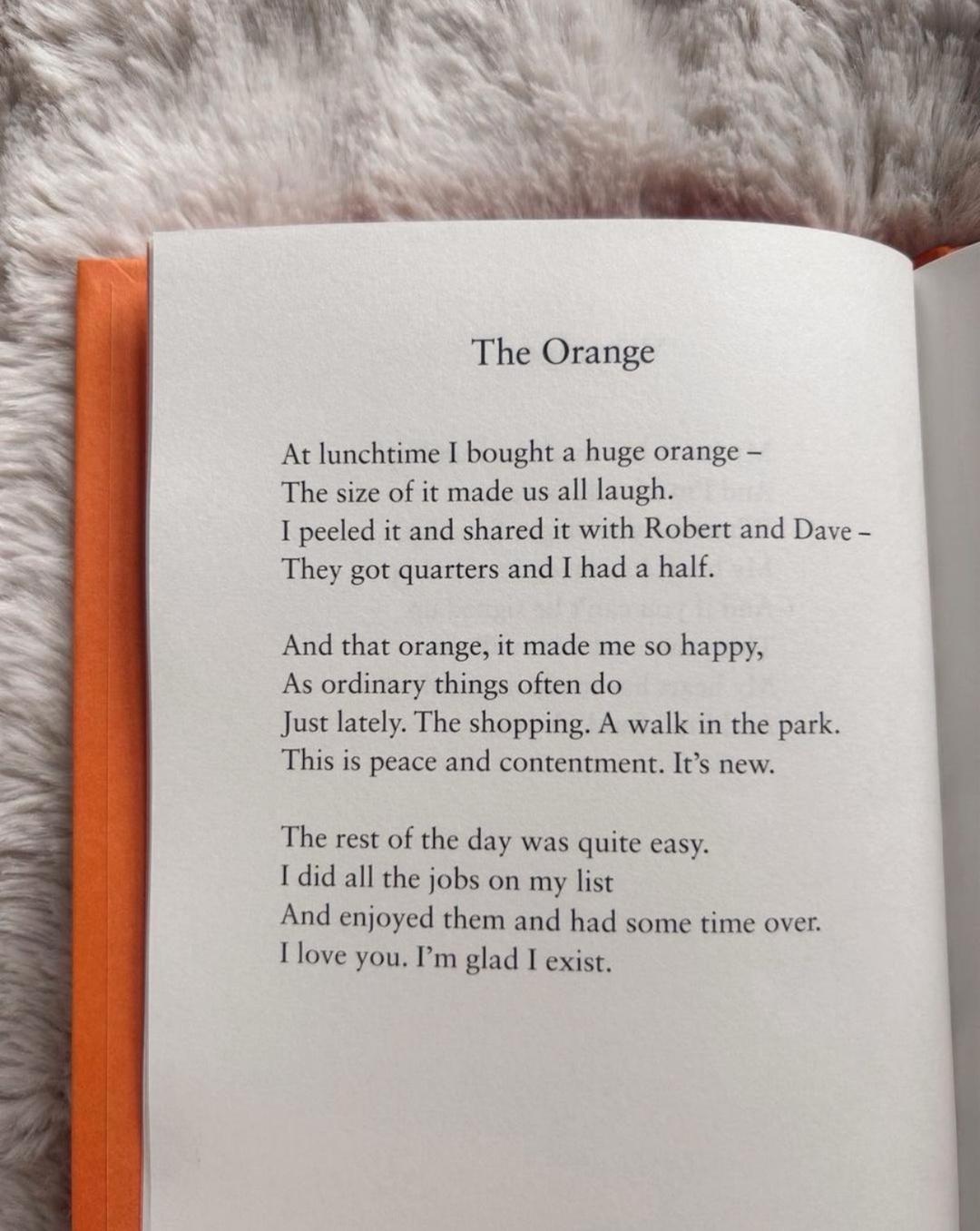 Wendy Cope “Serious Concerns” книга на английском — фото 2