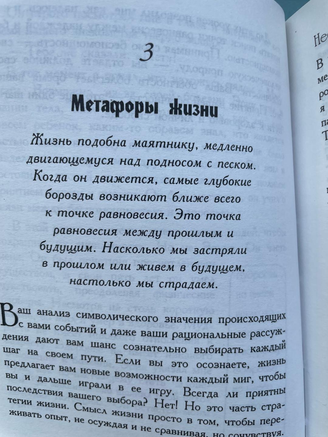 Пол Бреннер Будда в приемной — фото 2