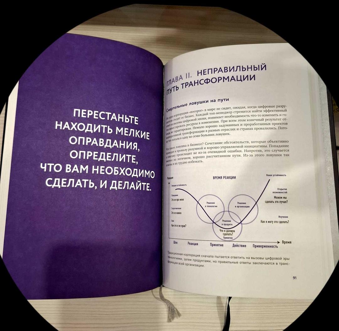Виктор Орловский, Владимир Коровкин. Книга «От носорога к единорогу» — фото 2