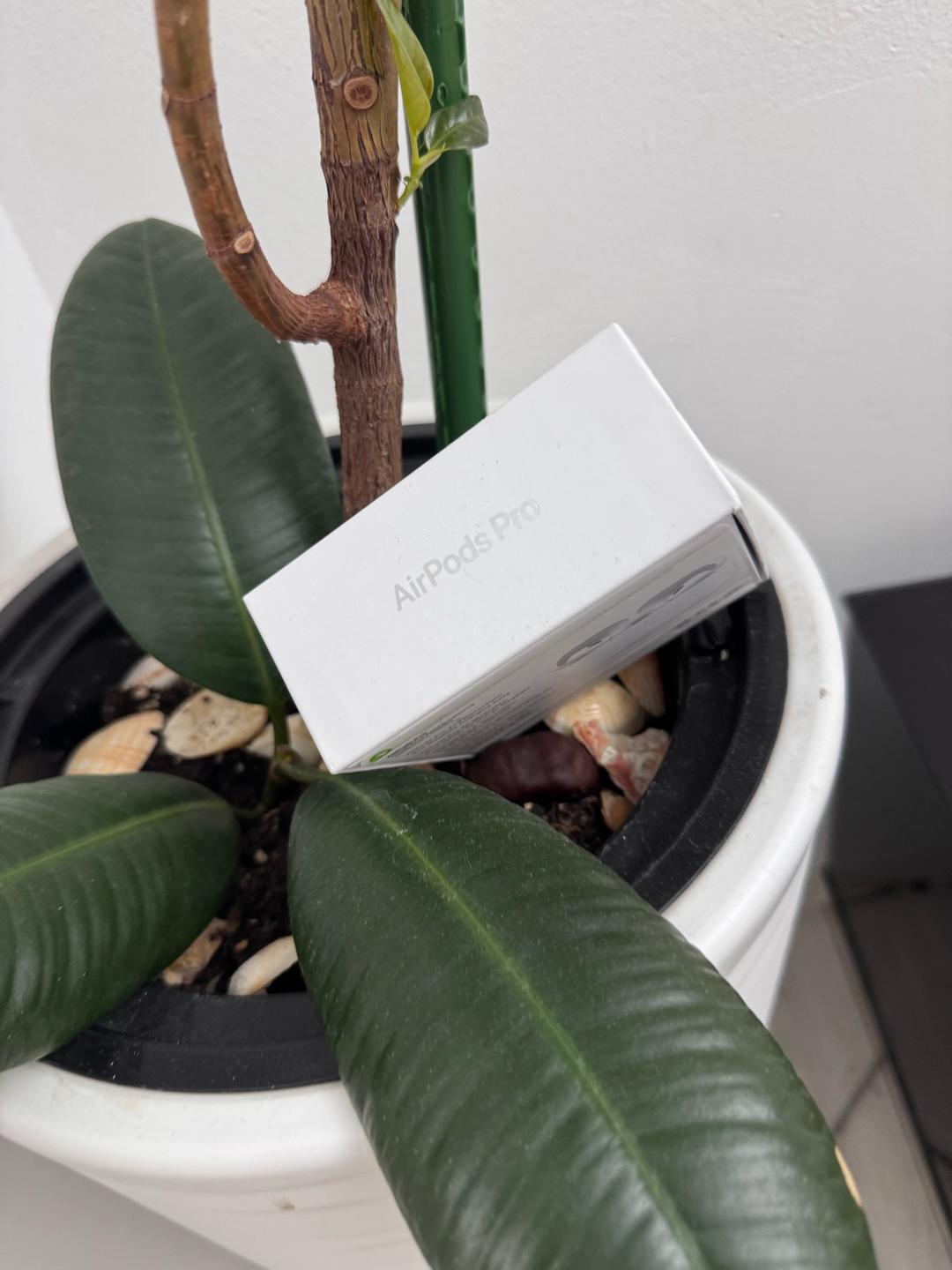 Apple Наушники Apple AirPods Pro 2nd Generation — фото 2