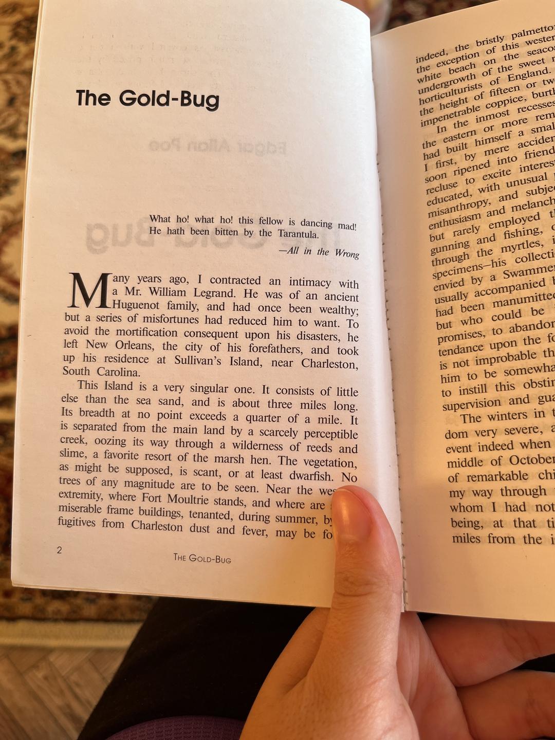 Эдгар Аллан По The Gold-Bug — фото 2