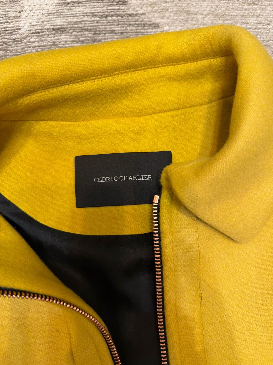 Cedric Charlier куртка жакет — фото 2