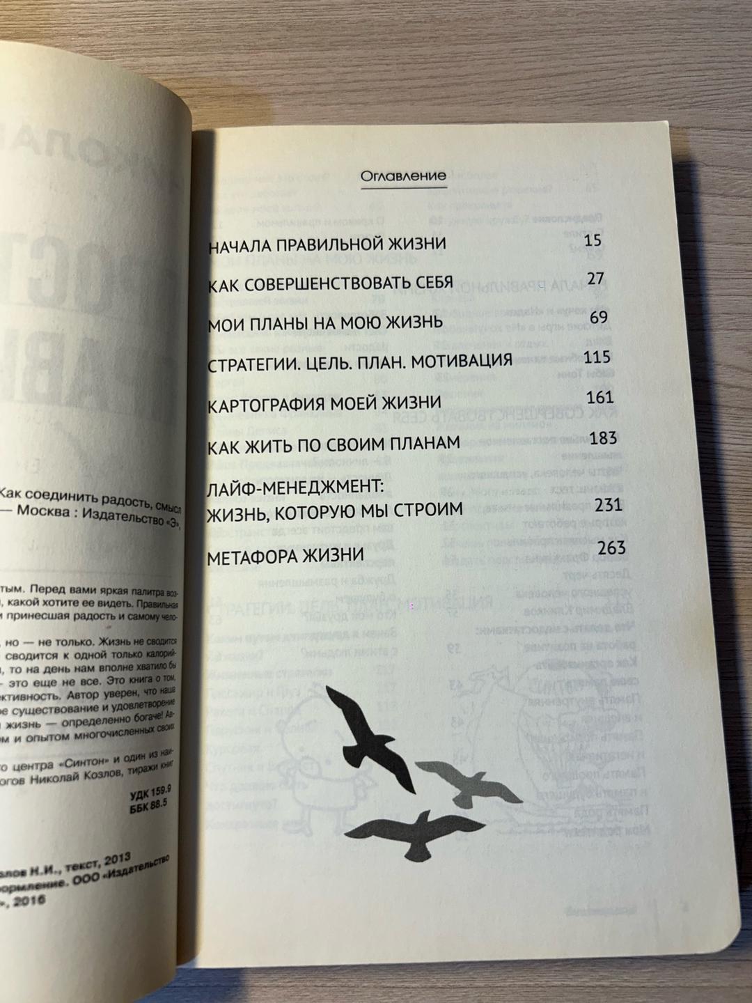 Николай Козлов Простая правильная жизнь, или Как соединить радость, смысл и эффективность — фото 2