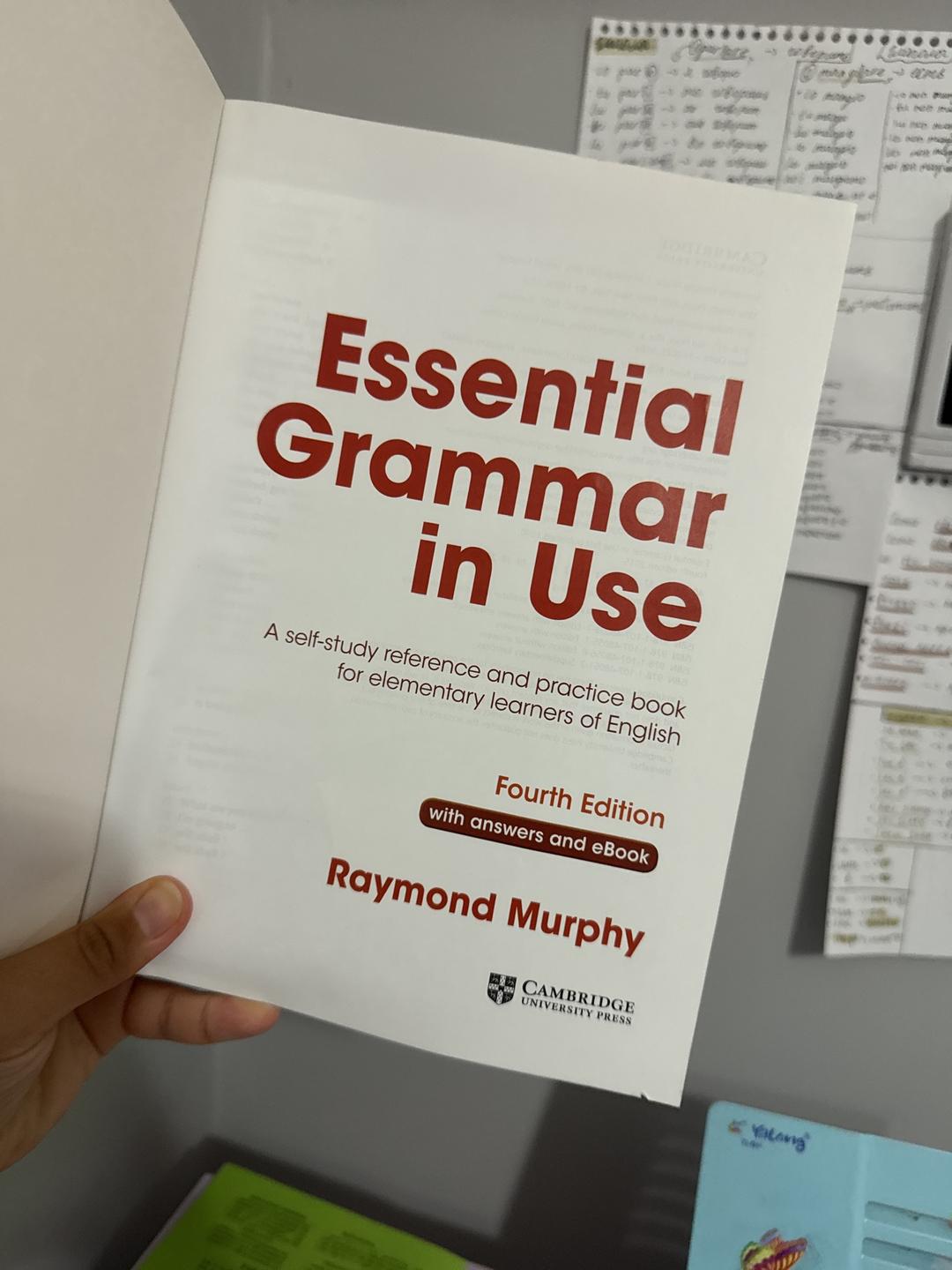 Raymond Murphy Essential Grammar in Use — фото 2