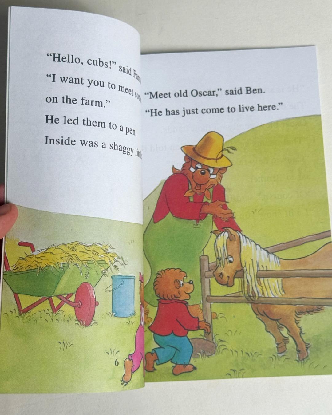 Mike Berenstain The Berenstain Bears — I Can Read (Комплект из 4 книг) — фото 2