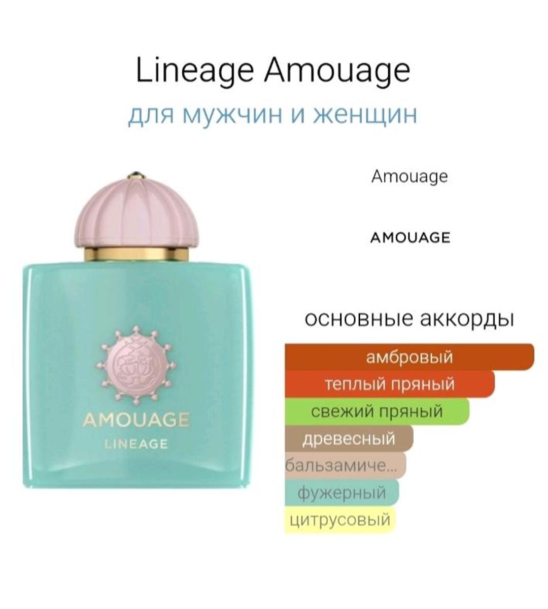 Нет бренда Amouage Lineage — фото 2