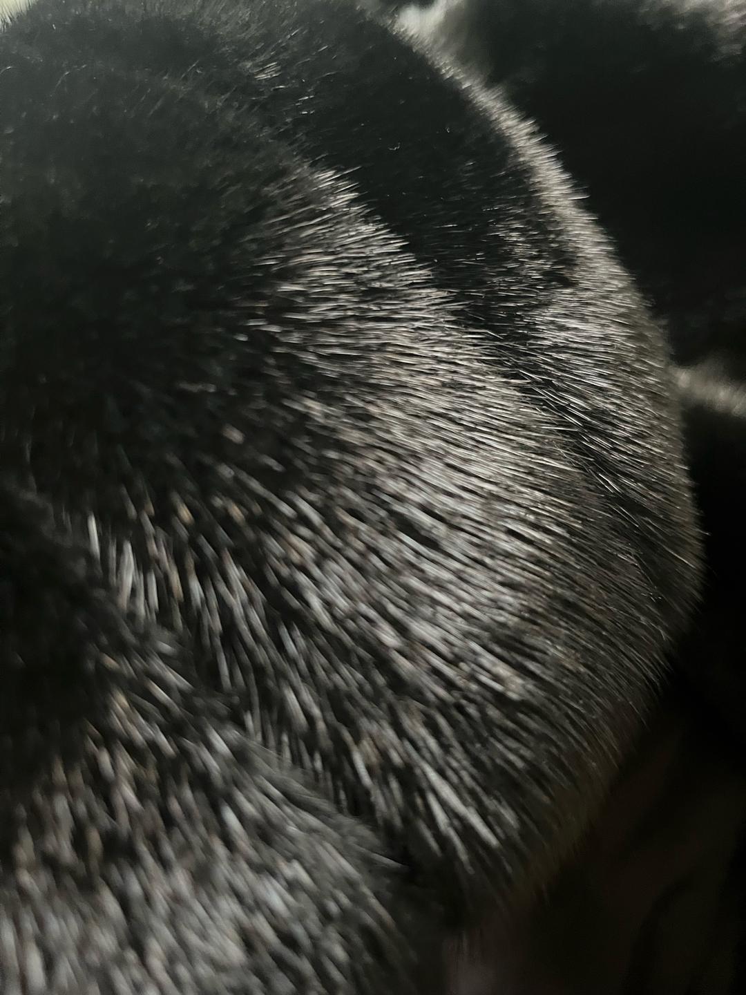 Best fur Турецкая шуба из норки — фото 2