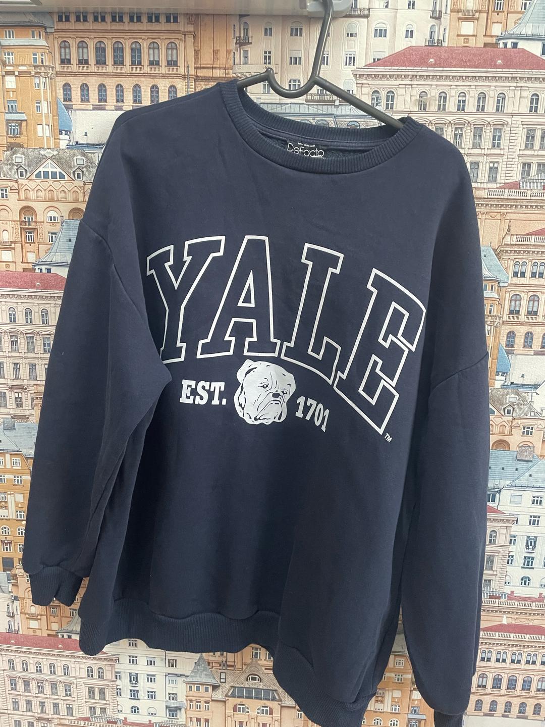 DeFacto Свитшот DeFacto Yale — фото 2